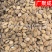 【实拍】家桃仁山桃仁生桃仁饱满无杂一公斤起