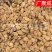 【实拍】家桃仁山桃仁生桃仁饱满无杂一公斤起