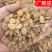 【实拍】家桃仁山桃仁生桃仁饱满无杂一公斤起