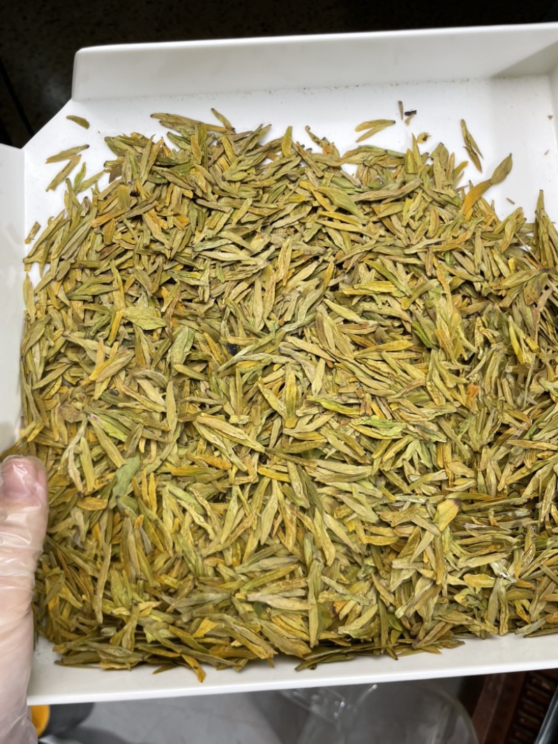黄金芽龙井