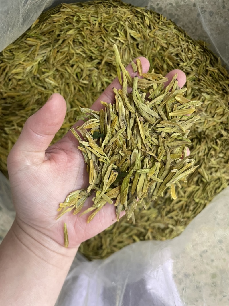 黄金芽龙井
