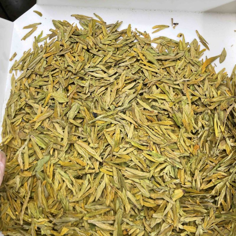 黄金芽龙井