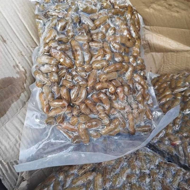 卤水花生批发毛豆花生商用批发卤水毛豆带壳解冻即食烧烤