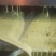 【品质保障】湖南湘西龙山县特色农产品纯菜籽油