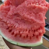 西瓜早春红玉小糖丸全美2k西瓜一手货源西瓜对接电商拼多多