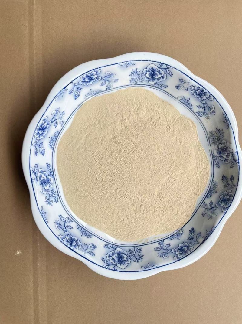 纯洋葱粉，黄洋葱粉，厂家直供，中式调味料