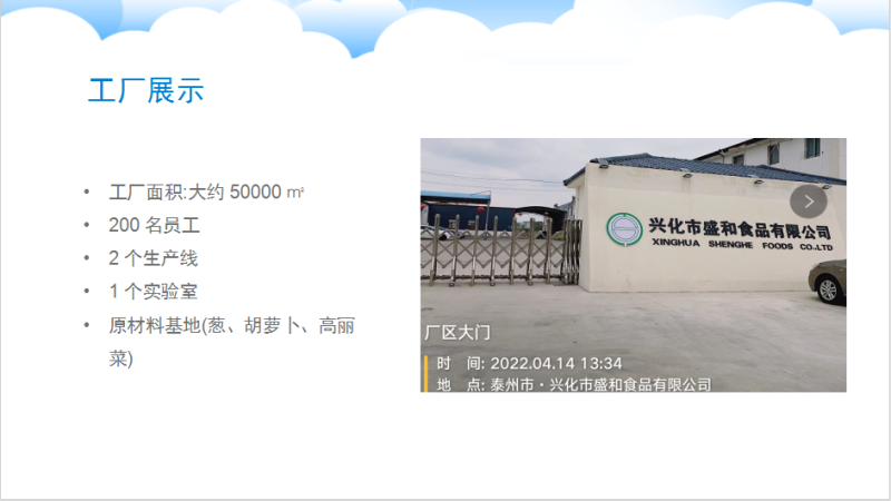 纯洋葱粉，黄洋葱粉，厂家直供，中式调味料