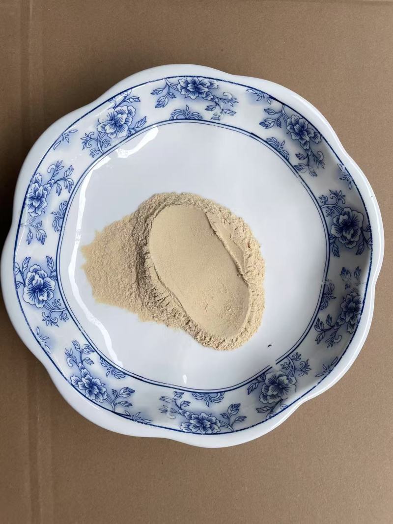 纯洋葱粉，黄洋葱粉，厂家直供，中式调味料