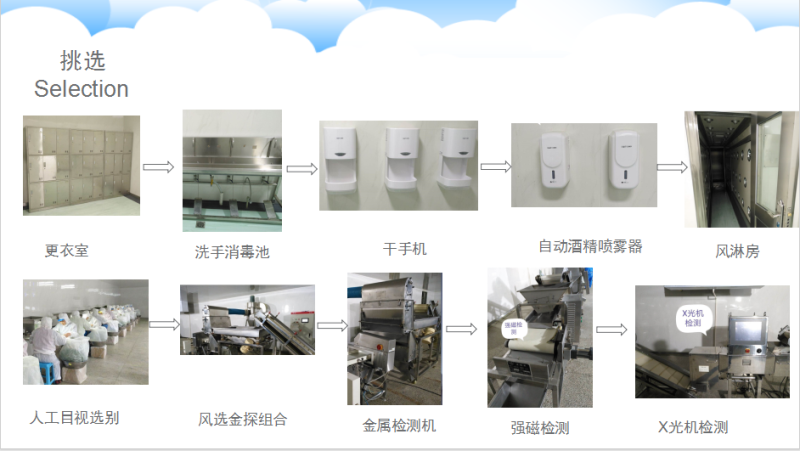 纯洋葱粉，黄洋葱粉，厂家直供，中式调味料