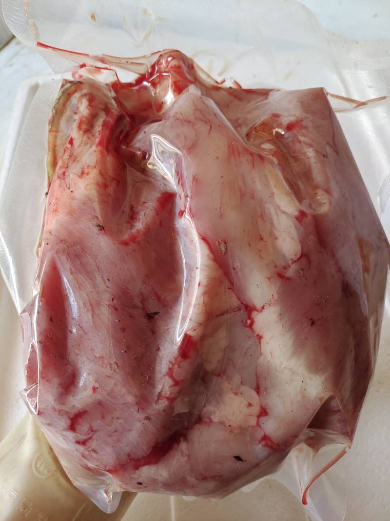 半皮鳄鱼肉