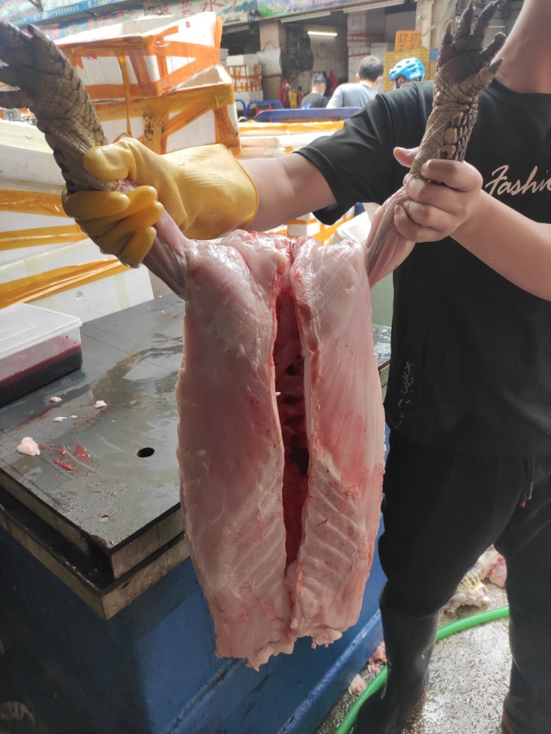 半皮鳄鱼肉