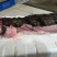 半皮鳄鱼肉