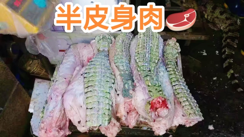 半皮鳄鱼肉