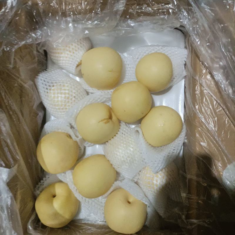 河北精品42#皇冠梨，果面干净，囗感甘甜！