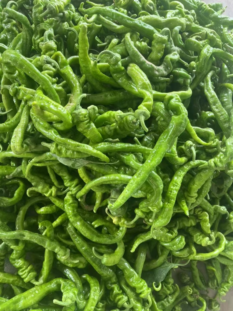 螺丝椒