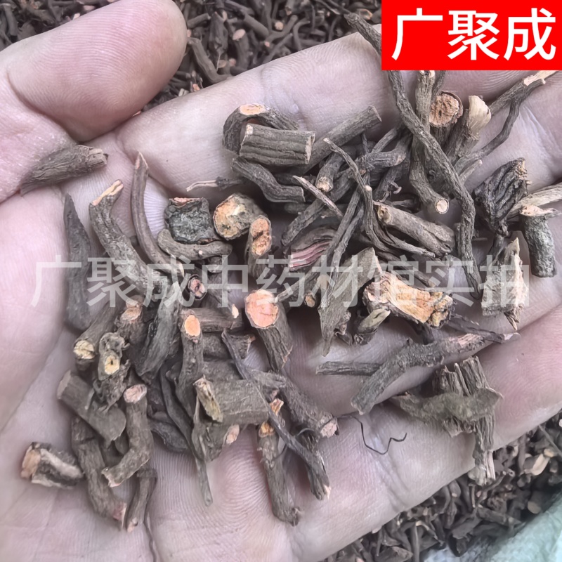 根茎类茜草河南茜草茜草根