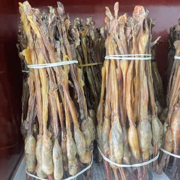 狗鞭大货供应