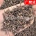 根茎类茜草河南茜草茜草根