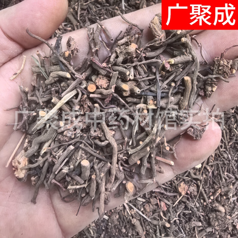 根茎类茜草河南茜草茜草根