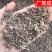 根茎类茜草河南茜草茜草根