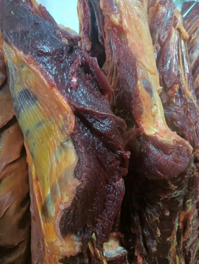 精品马肉五分体