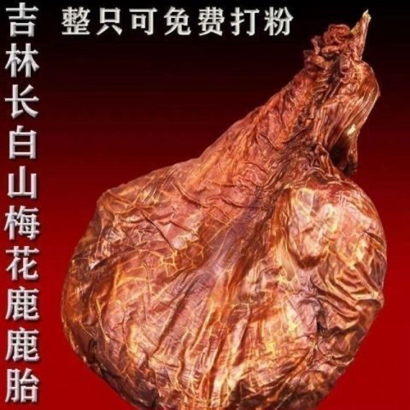 鹿胎正品花鹿胎