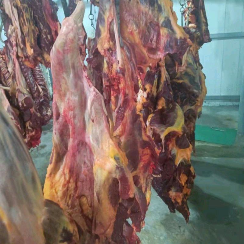 马肉五分题