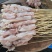 鳄鱼肉串