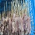 鳄鱼肉串