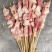 鳄鱼肉串