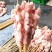 鳄鱼肉串