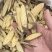 出口甘草野甘草大货供应货源充足看图收货