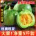 燕店久红瑞甜瓜博洋玉菇绿宝花蕾白玉甜瓜东方蜜产地直销供货