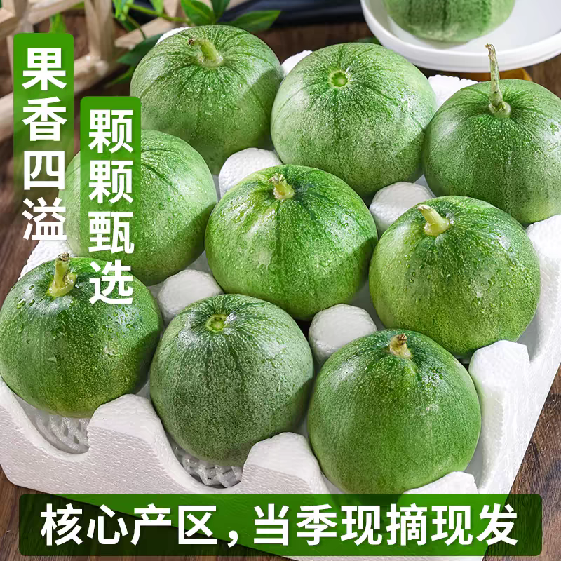 燕店久红瑞甜瓜博洋玉菇绿宝花蕾白玉甜瓜东方蜜产地直销供货