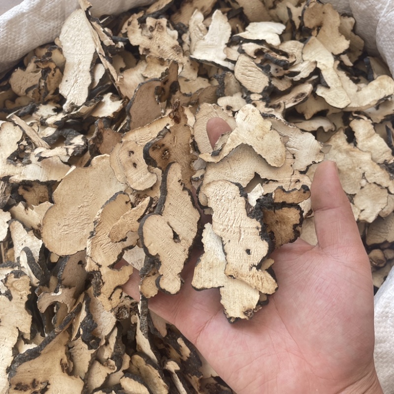 猪苓选货保真保量看图收货