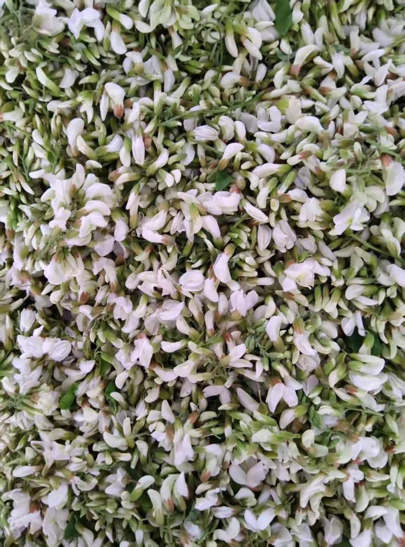 新鲜洋槐花，槐花