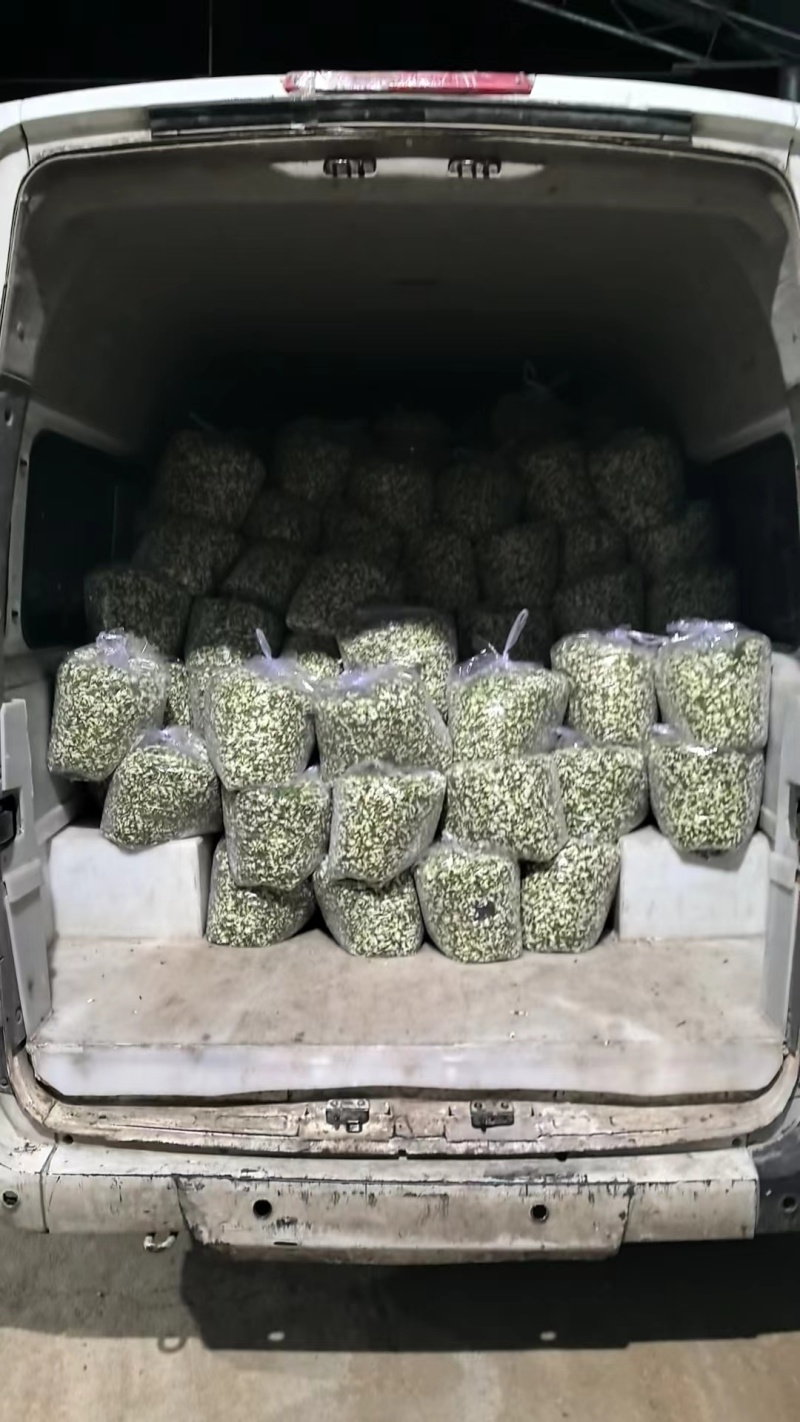 新鲜洋槐花，槐花