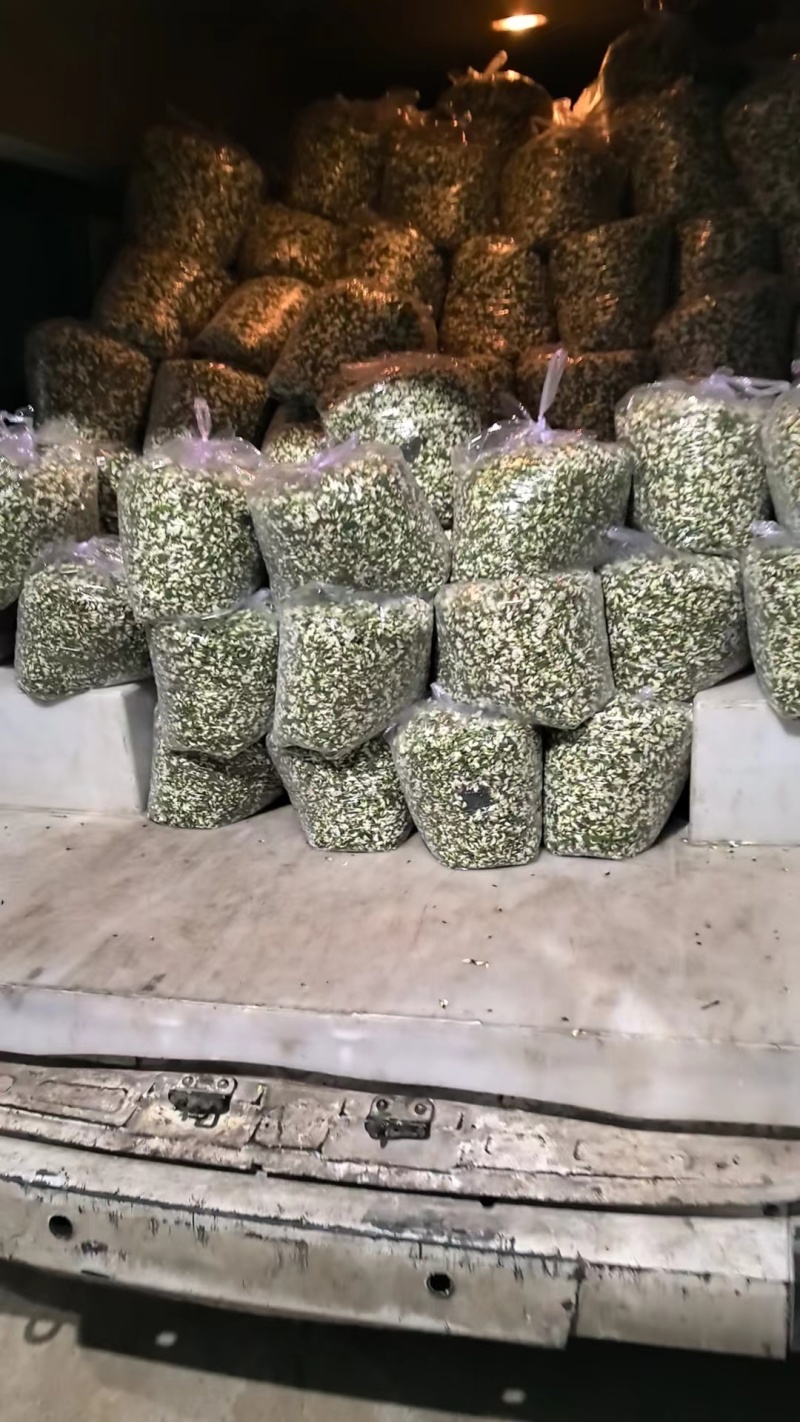新鲜洋槐花，槐花