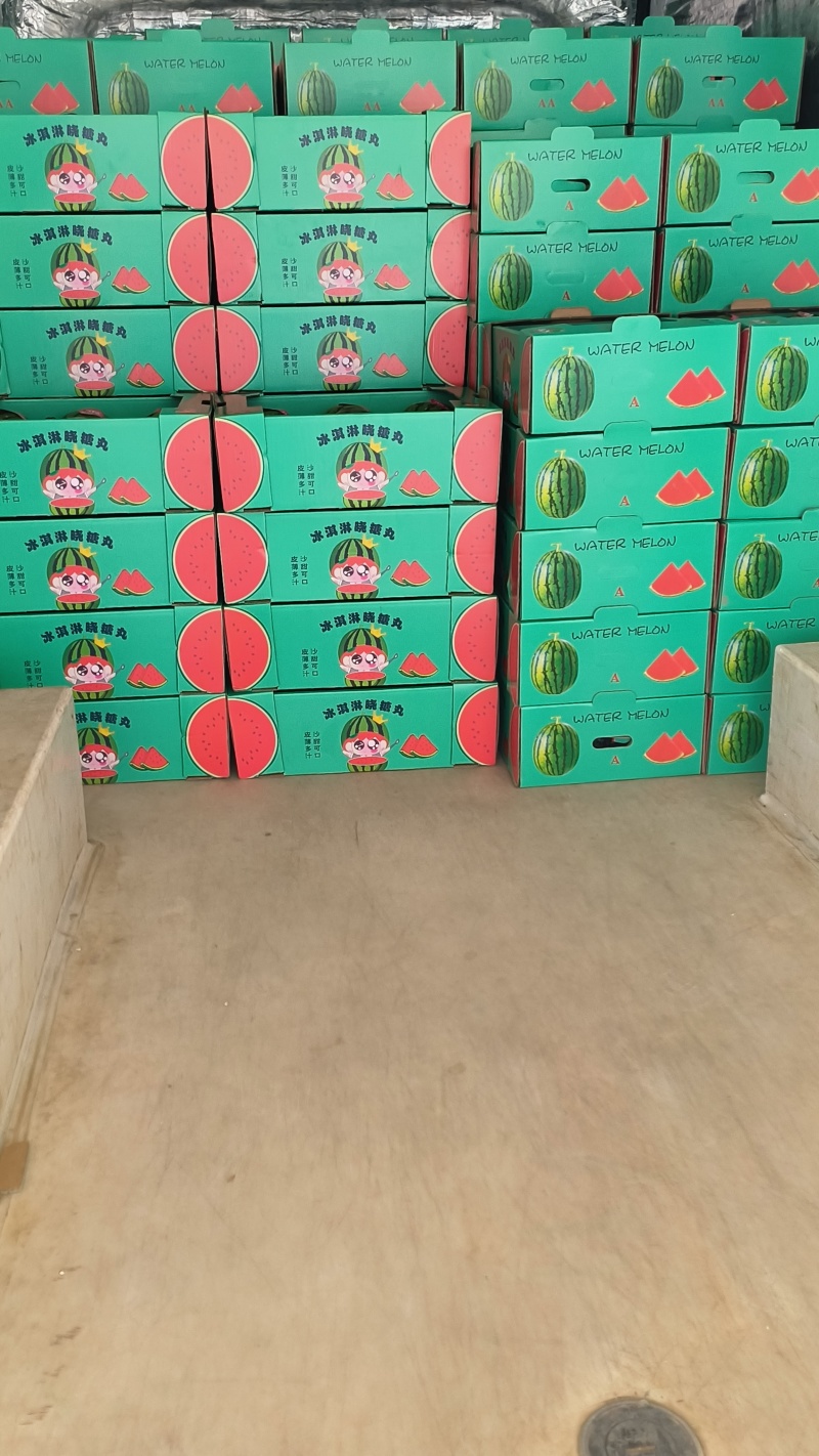 安徽砀山县精品2K小糖丸西瓜保熟保甜全国发货