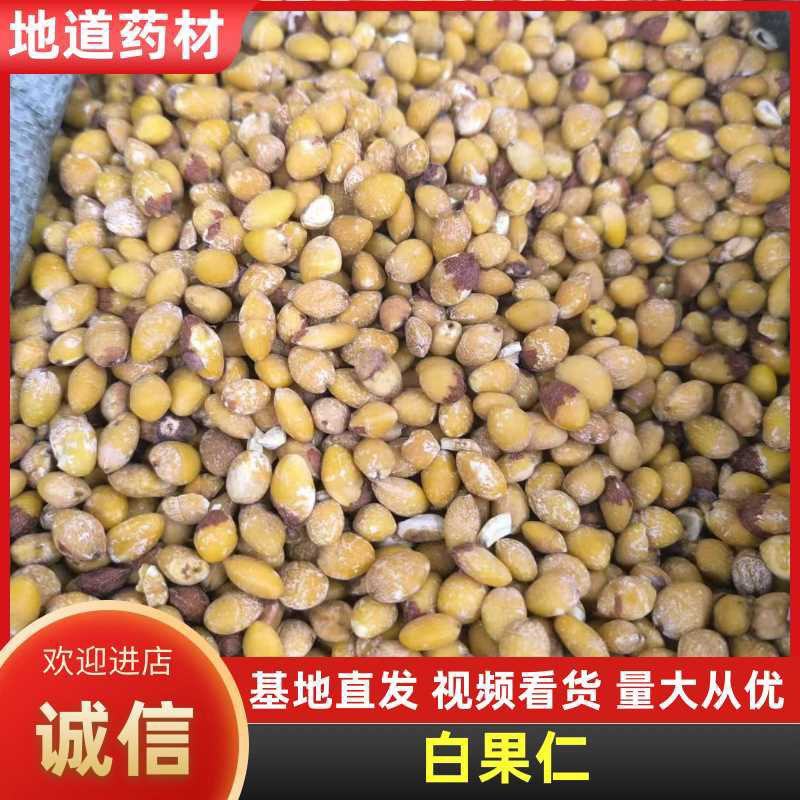 中药材白果仁，质量为先，量大从优，欢迎电话咨询