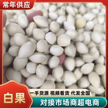 中药材白果，银杏果，质量保证，量大从优欢迎来电咨询
