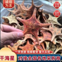 中药材干海星，安徽直发，质量为本，欢迎电话咨询