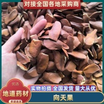 中药材向天果，质量为本，量大从优，欢迎来电咨询