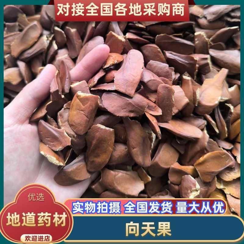 中药材向天果，质量为本，量大从优，欢迎来电咨询
