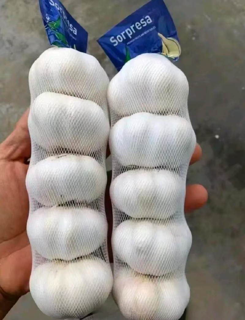大蒜出口《公司资质齐全》各种规格加工一条龙服务