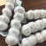 大蒜出口《公司资质齐全》各种规格加工一条龙服务