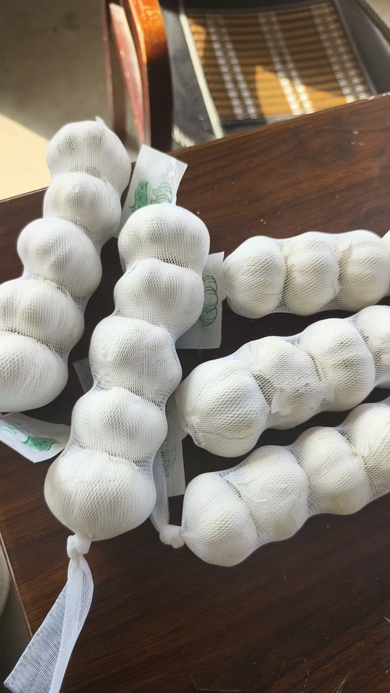 大蒜出口《公司资质齐全》各种规格加工一条龙服务