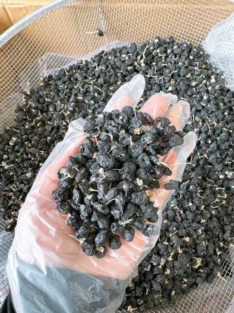 野生黑枸杞，干净不牙磁，原产地发货，大量有货