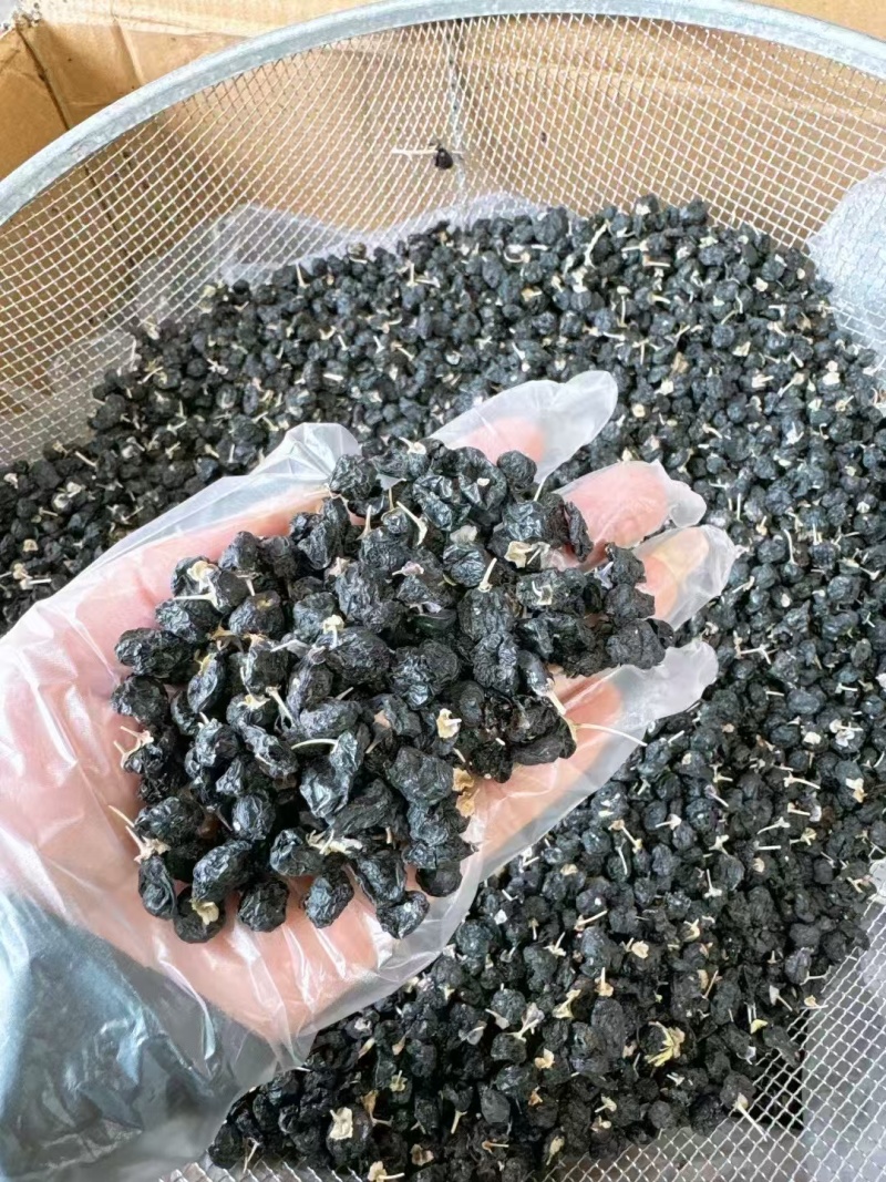 野生黑枸杞，干净不牙磁，原产地发货，大量有货