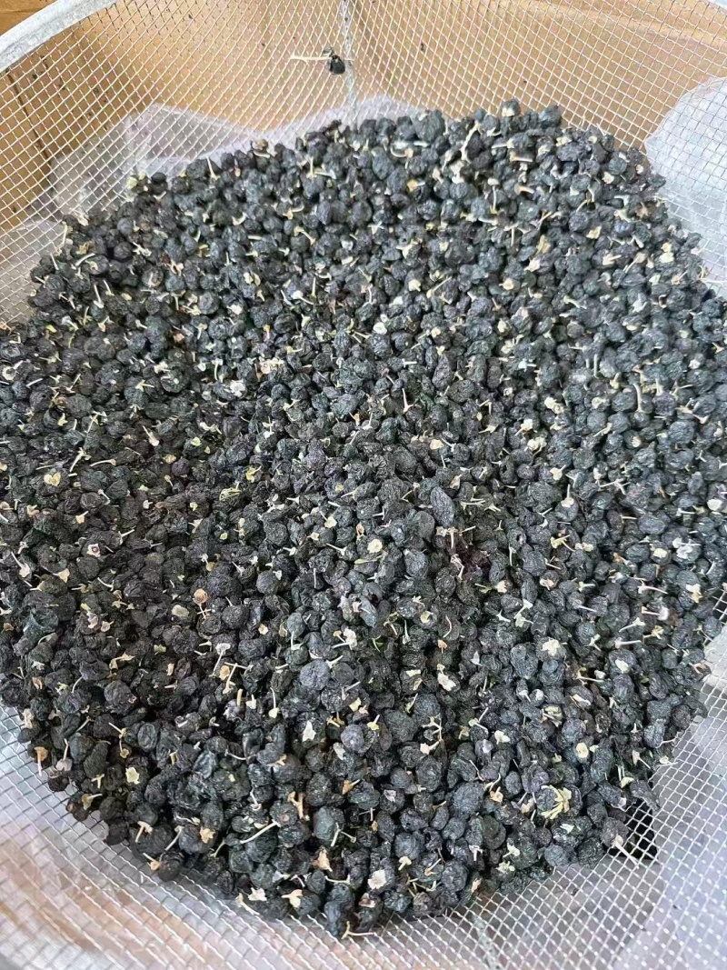 野生黑枸杞，干净不牙磁，原产地发货，大量有货